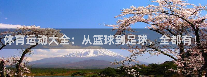 3377体育官网下载招商电话:体育运动大全:从篮球到足球,全